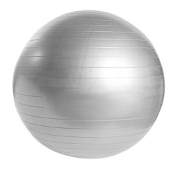 PELOTA DE PILATES WELLNESS - vista 1