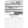 250 formatos tamaño carta negro original y una copia en autocopiante alta calidad Printernet