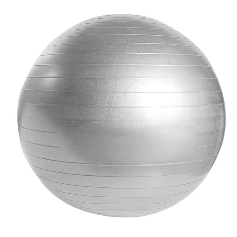 PELOTA DE PILATES WELLNESS | Printernet