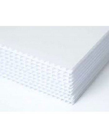 coroplast lámina completa 4mm