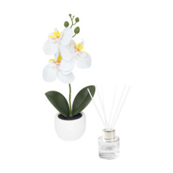 SET DECORATIVO FIORA - vista 1